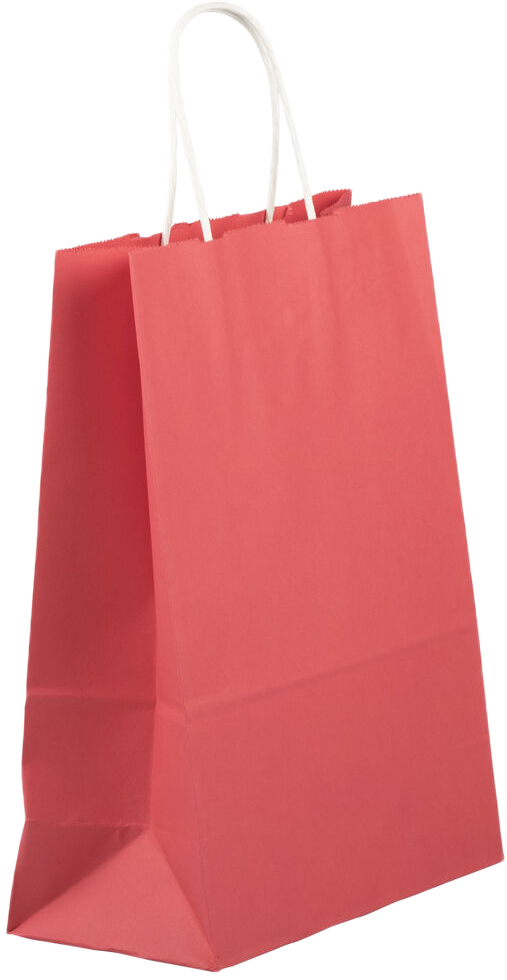 Red Kraft Large Gift Bags (10 x 13 x 5)