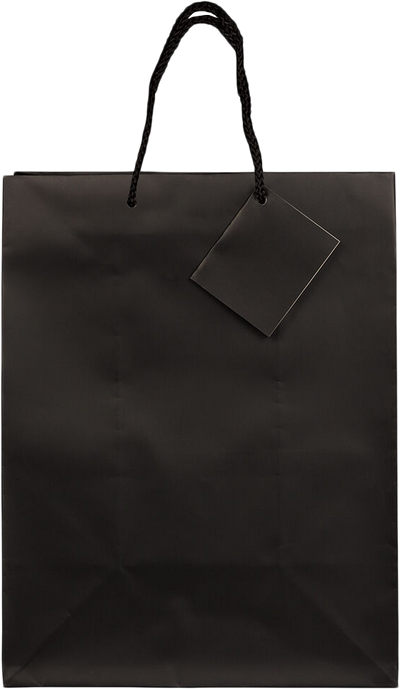 Black Large Matte Gift Bags (10 x 13 x 5)