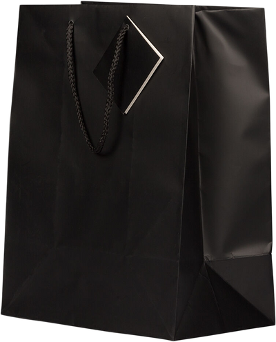 Black Large Matte Gift Bags (10 x 13 x 5)