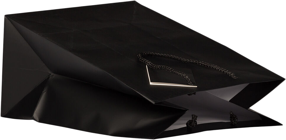 Black Large Matte Gift Bags (10 x 13 x 5)