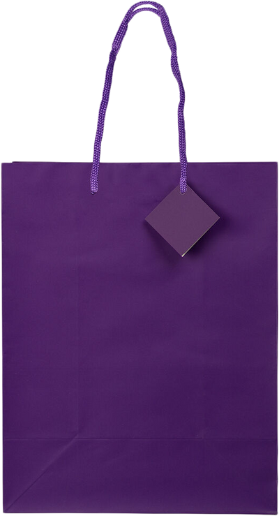 Purple Large Matte Gift Bags (10 x 13 x 5)