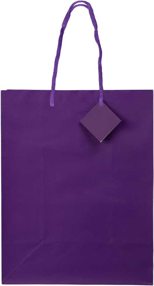 Purple Large Matte Gift Bags (10 x 13 x 5)