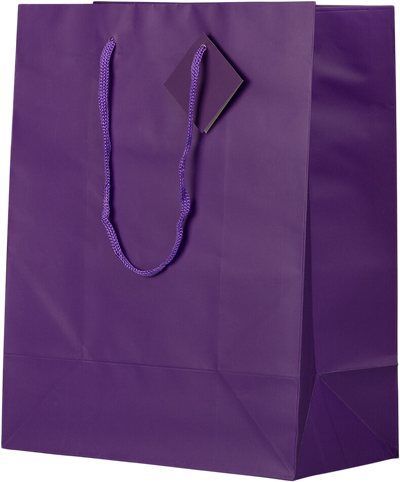 Purple Large Matte Gift Bags (10 x 13 x 5)