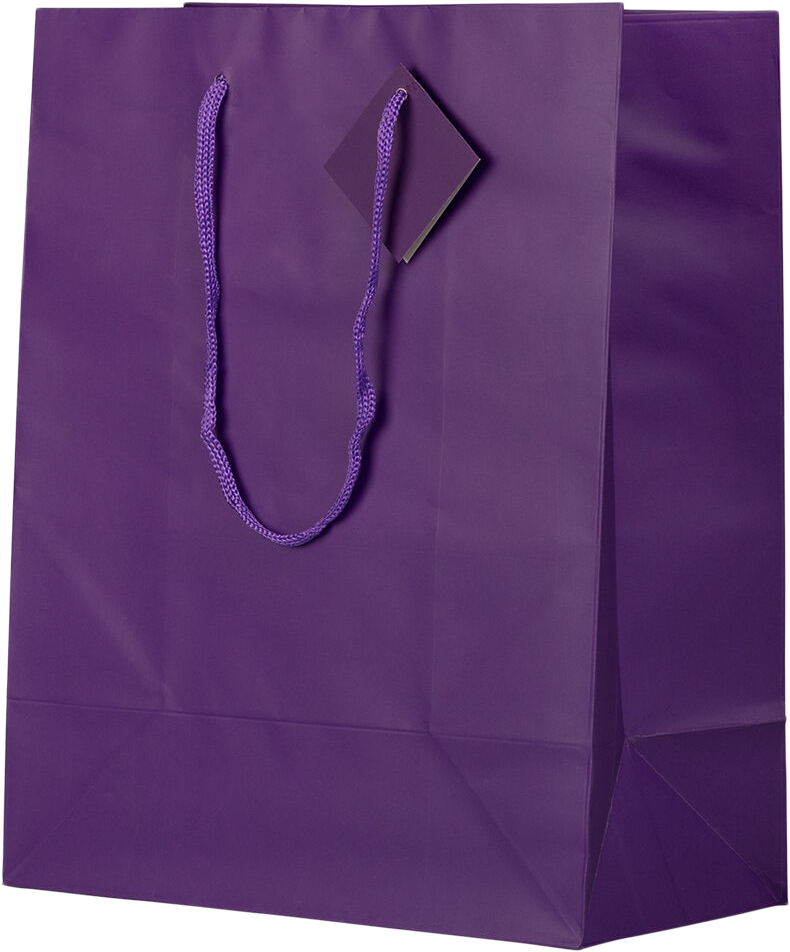 Purple Large Matte Gift Bags (10 x 13 x 5)