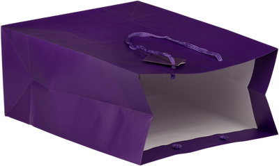 Purple Large Matte Gift Bags (10 x 13 x 5)
