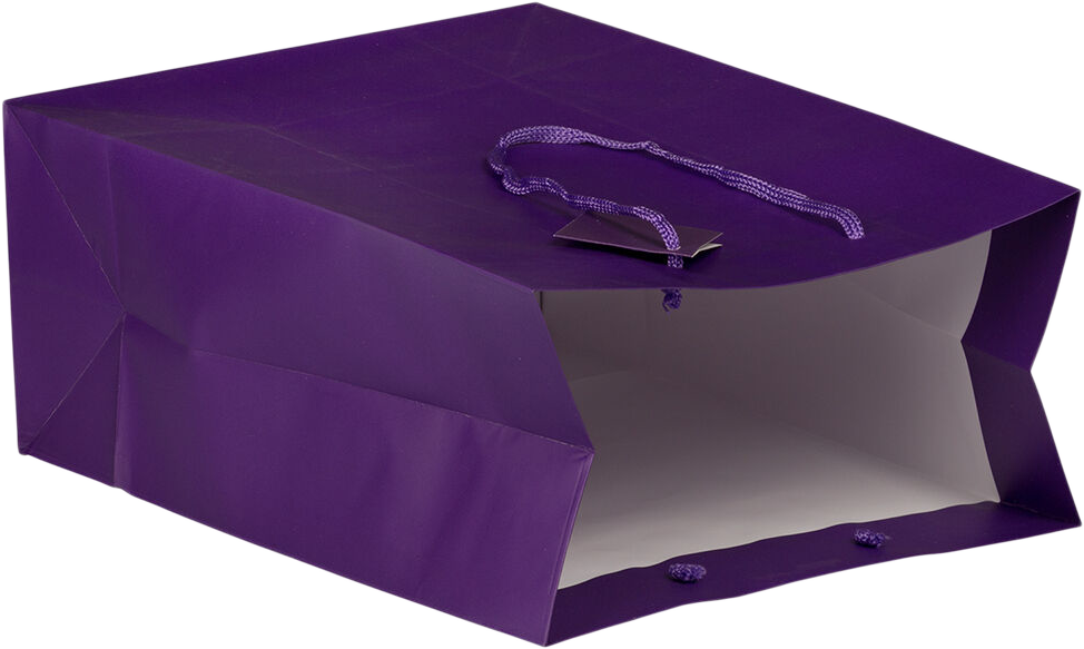 Purple Large Matte Gift Bags (10 x 13 x 5)