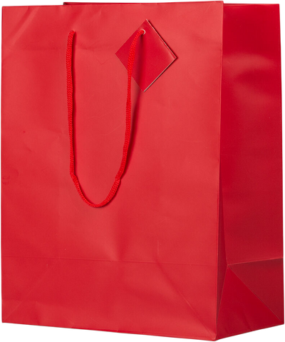 Red Large Matte Gift Bags (10 x 13 x 5)
