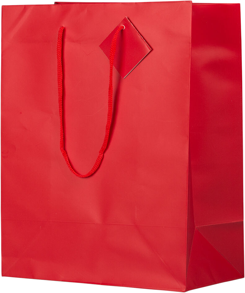 Red Large Matte Gift Bags (10 x 13 x 5)