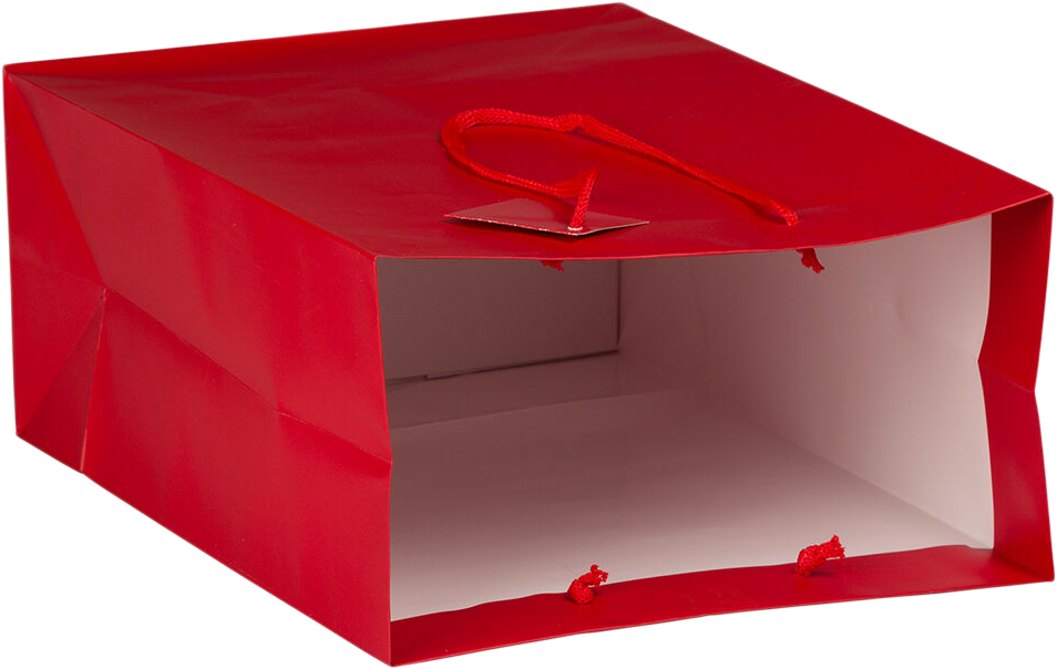Red Large Matte Gift Bags (10 x 13 x 5)