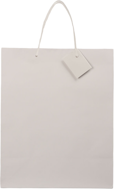 White Large Matte Gift Bags (10 x 13 x 5)
