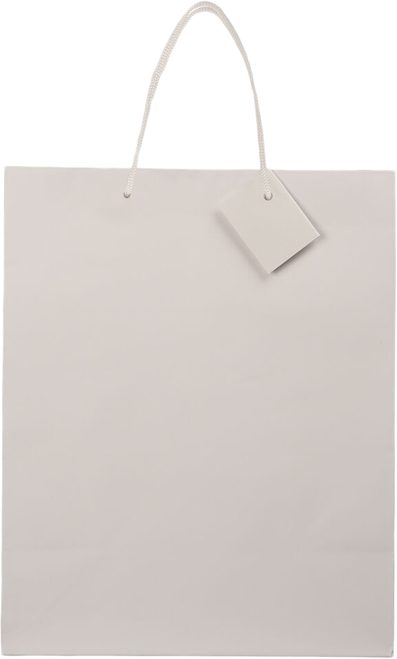 White Large Matte Gift Bags (10 x 13 x 5)