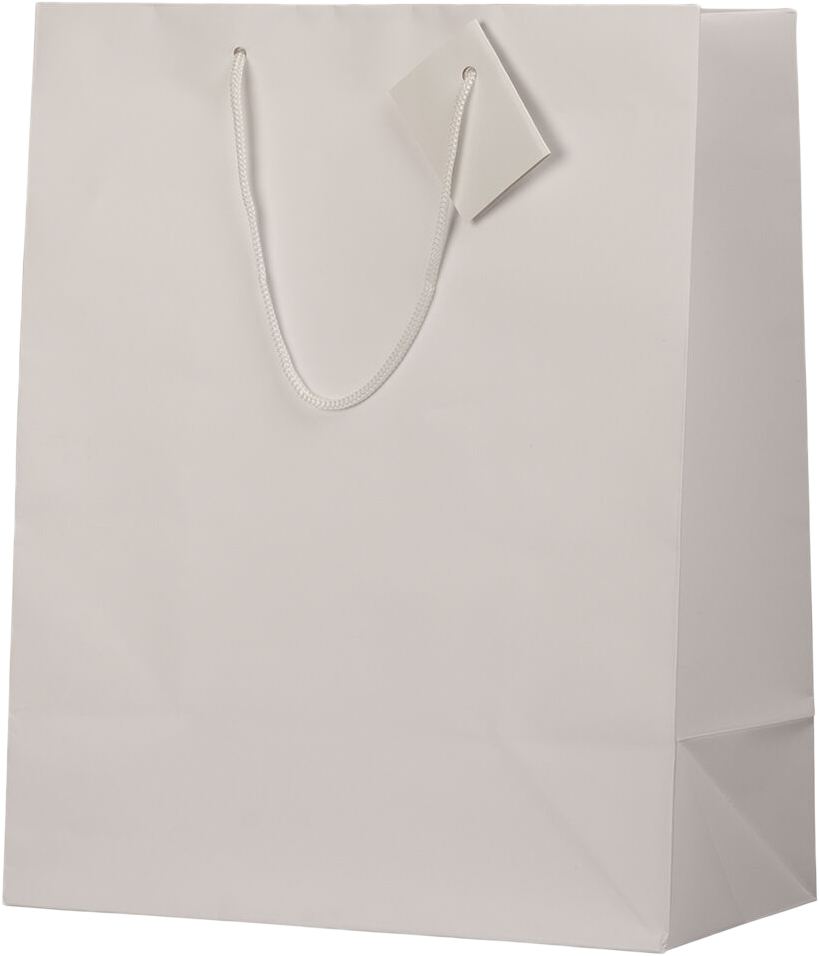 White Large Matte Gift Bags (10 x 13 x 5)