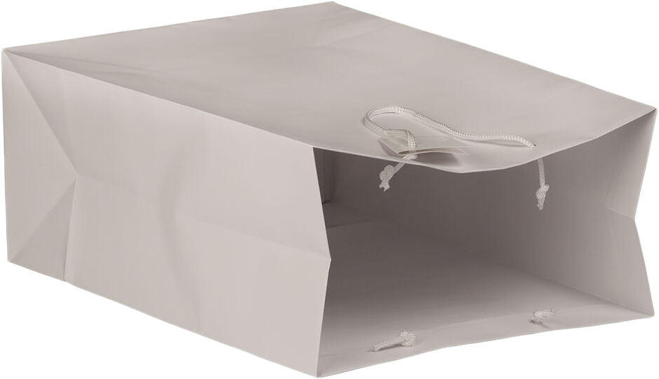 White Large Matte Gift Bags (10 x 13 x 5)