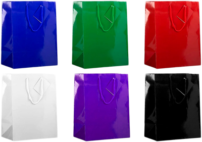 Assorted Large Glossy Gift Bags (10 x 13 x 5) - 6 Pack
