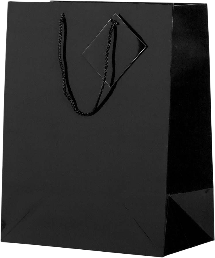 Black Large Glossy Gift Bags (10 x 13 x 5)