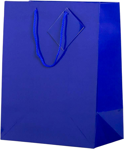 Assorted Large Glossy Gift Bags (10 x 13 x 5) - 6 Pack