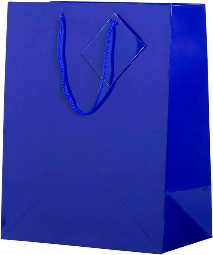 Assorted Large Glossy Gift Bags (10 x 13 x 5) - 6 Pack