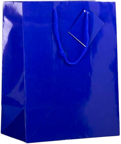 Assorted Large Glossy Gift Bags (10 x 13 x 5) - 6 Pack