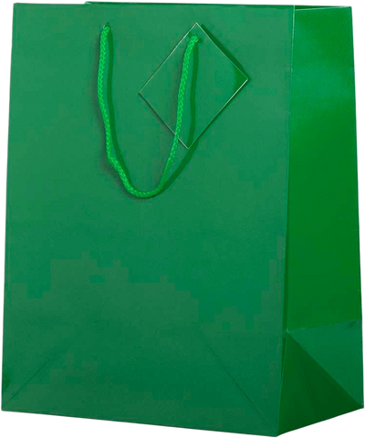 Assorted Large Glossy Gift Bags (10 x 13 x 5) - 6 Pack