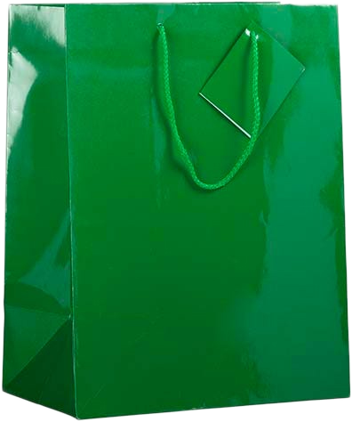 Assorted Large Glossy Gift Bags (10 x 13 x 5) - 6 Pack