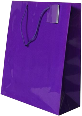 Assorted Large Glossy Gift Bags (10 x 13 x 5) - 6 Pack
