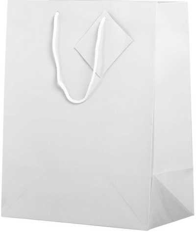 Assorted Large Glossy Gift Bags (10 x 13 x 5) - 6 Pack