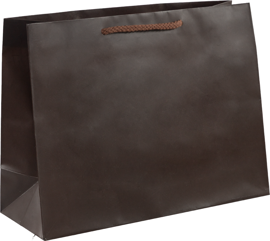 Chocolate Brown Large Matte Gift Bags (13 x 10 x 5)