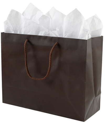 Chocolate Brown Large Matte Gift Bags (13 x 10 x 5)