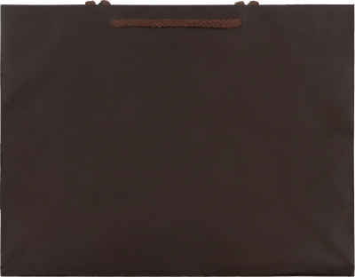 Chocolate Brown Large Matte Gift Bags (13 x 10 x 5)