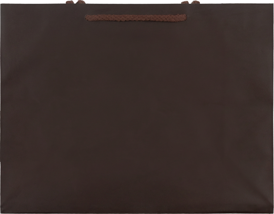 Chocolate Brown Large Matte Gift Bags (13 x 10 x 5)