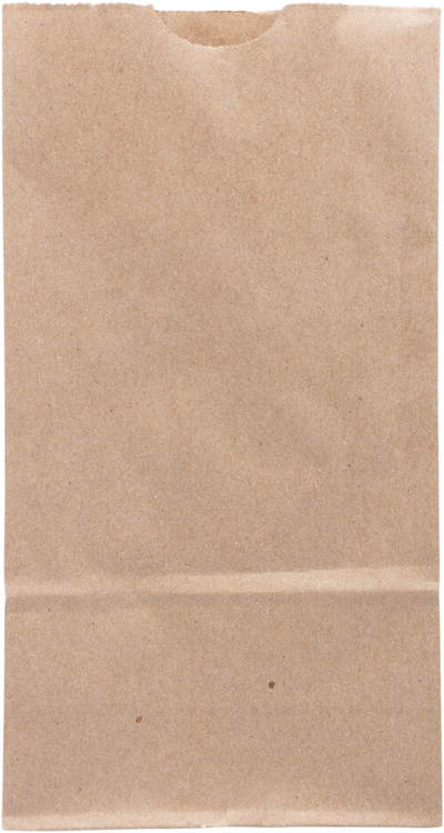 Brown Kraft Small Paper Lunch Bags (4 1/4 x 8 x 2 1/4) - 25 Pack