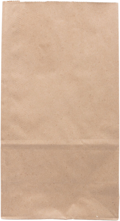 Brown Kraft Paper Lunch Bags - Large - 6 x 11 x 3 1/2 - 25 Pack
