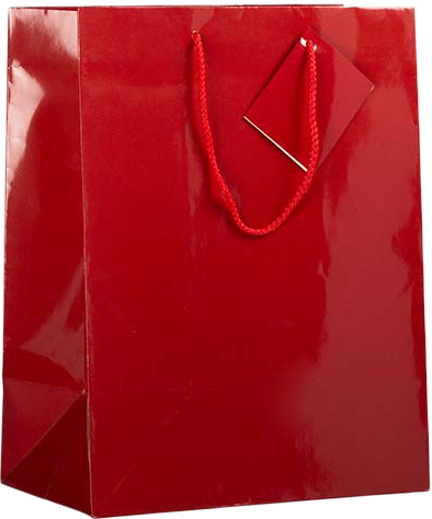 Red Large Glossy Gift Bags (10 x 13 x 5)