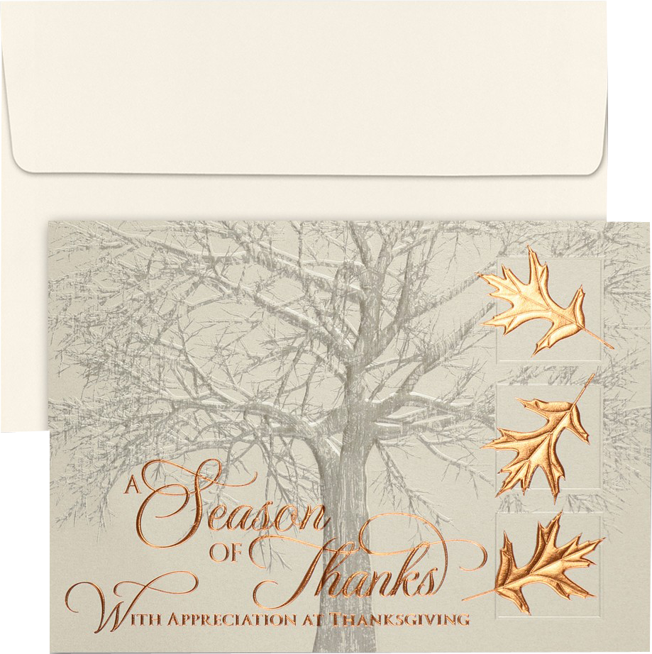 Copper Thanksgiving Card Set - 25 Pack