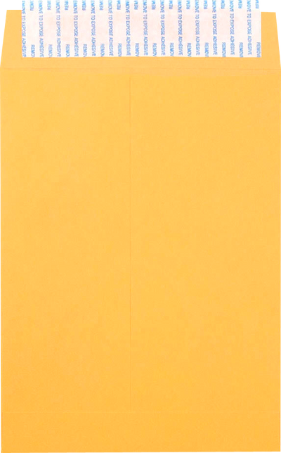 Brown Kraft 28lb 6 1/2 x 9 1/2 Open End Envelopes with Peel & Seal