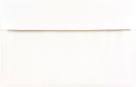 White with Silver Foil Lining 24lb A10 Invitation Envelopes (6 x 9 1/2)