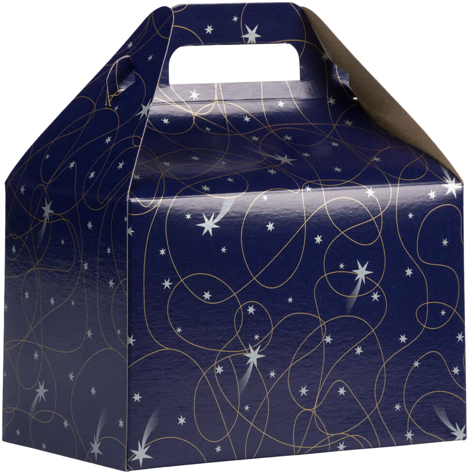 Purple Shooting Stars Medium Gable Gift Boxes (4 x 8 x 5 1/4)