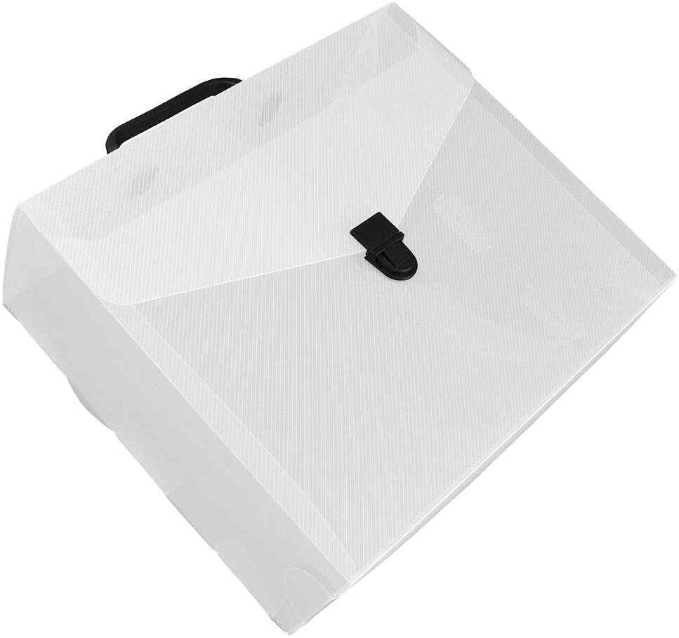 Clear 10 x 12 x 4 Plastic Carry Cases with Black Buckle