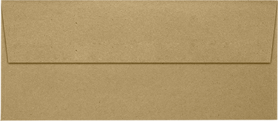 Grocery Bag 28lb #9 Slimline Square Flap Envelopes (3 7/8 x 8 7/8) with Peel & Seal