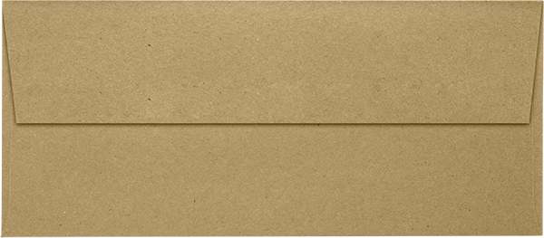 Grocery Bag 28lb #9 Slimline Square Flap Envelopes (3 7/8 x 8 7/8) with Peel & Seal