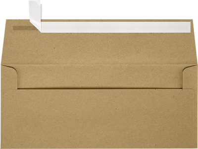 Grocery Bag 28lb #9 Slimline Square Flap Envelopes (3 7/8 x 8 7/8) with Peel & Seal