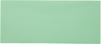 Pastel Green 24lb #9 Regular Envelopes (3 7/8 x 8 7/8)