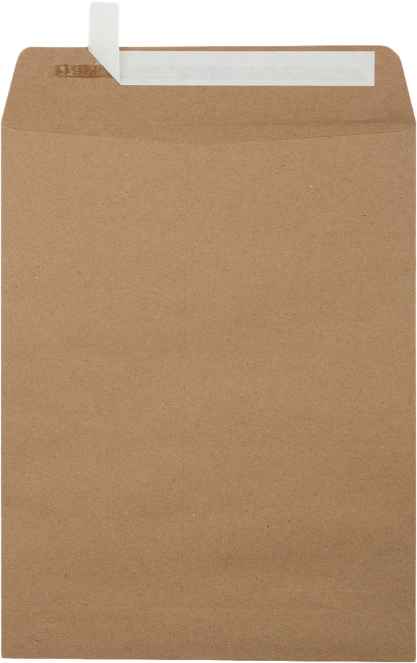 Grocery Bag 28lb 8 3/4 x 11 1/4 Open End Envelopes with Peel & Seal