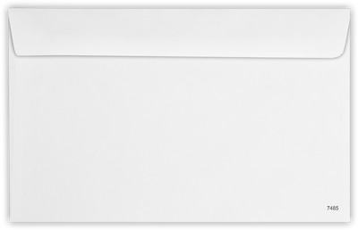 White with Security Tint 24lb W-2 /1099 Double Window Envelopes (5 3/4 x 9 1/4)