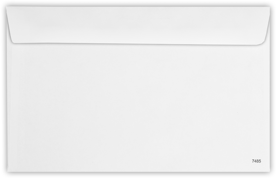 White with Security Tint 24lb W-2 /1099 Double Window Envelopes (5 3/4 x 9 1/4)