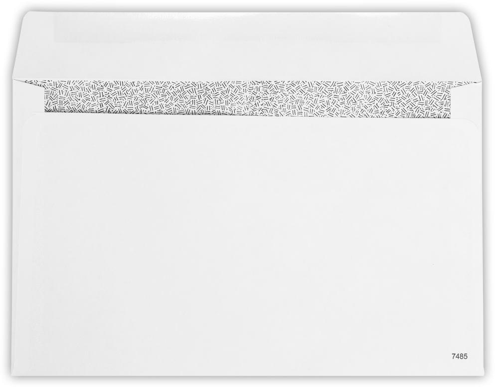 White with Security Tint 24lb W-2 /1099 Double Window Envelopes (5 3/4 x 9 1/4)