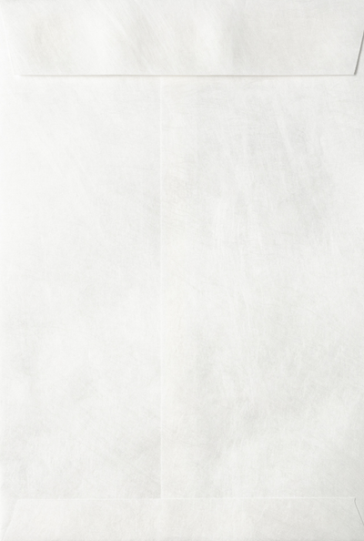 White Tyvek 14lb 6 1/2 x 9 1/2 Open End Envelopes with Peel & Seal