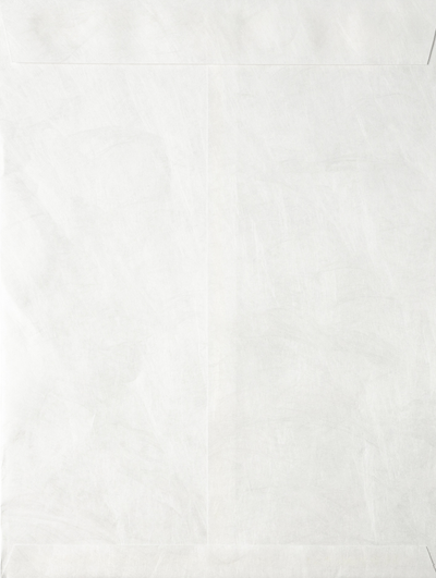 White Tyvek 14lb 9 1/2 x 12 1/2 Open End Envelopes with Peel & Seal
