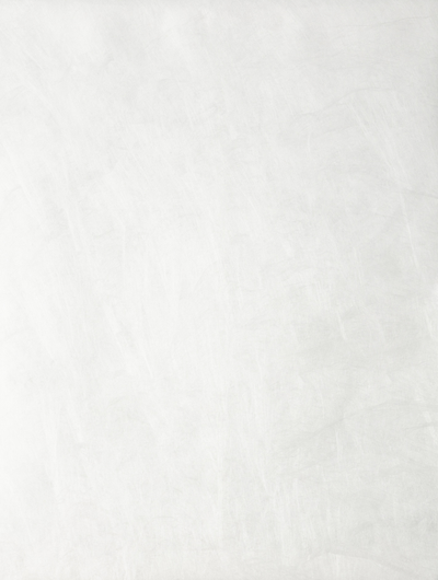 White Tyvek 14lb 9 1/2 x 12 1/2 Open End Envelopes with Peel & Seal