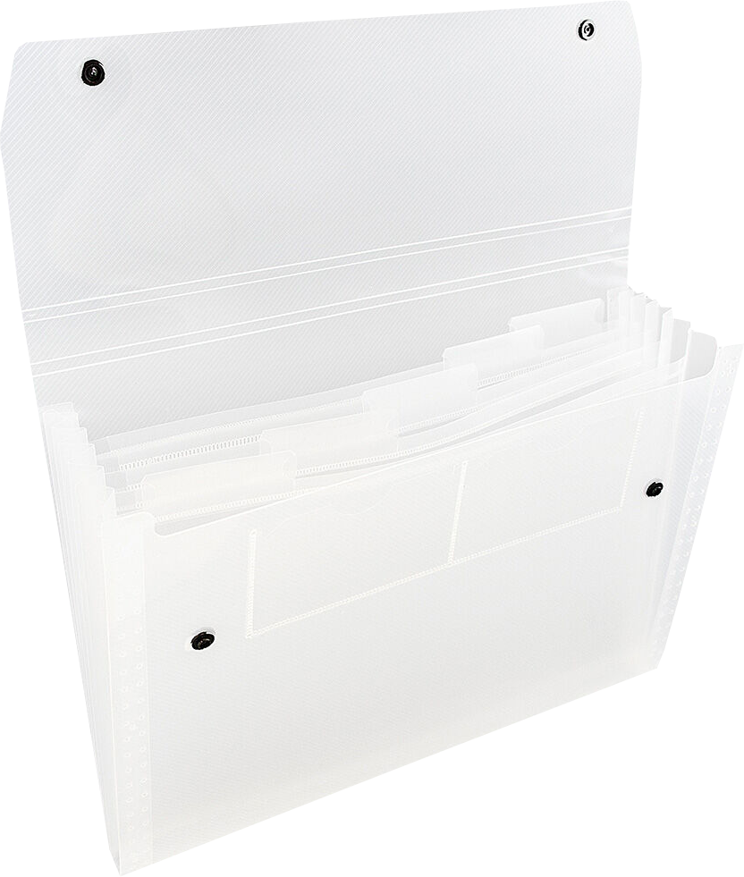 Clear with Snap Letter Size 6 Pocket Expanding Files (9 x 13)